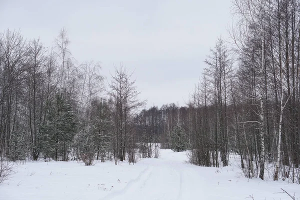 Wunderschöne Winterlandschaft vor einem Hintergrund von Bäumen und Wald. Weihnachts- und Neujahrsstimmung. Schneefall und die Aussicht wie im Märchen — Stockfoto