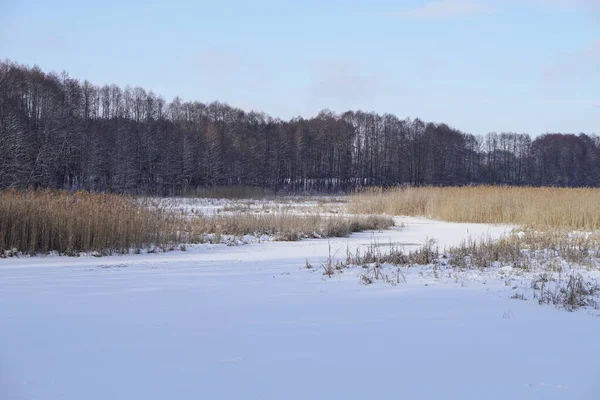 Prachtig winterlandschap met een besneeuwde rivier en meer. Kerst en Nieuwjaar thema — Stockfoto