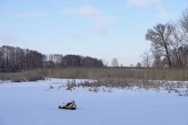 Prachtig winterlandschap met een besneeuwde rivier en meer. Kerst en Nieuwjaar thema — Stockfoto