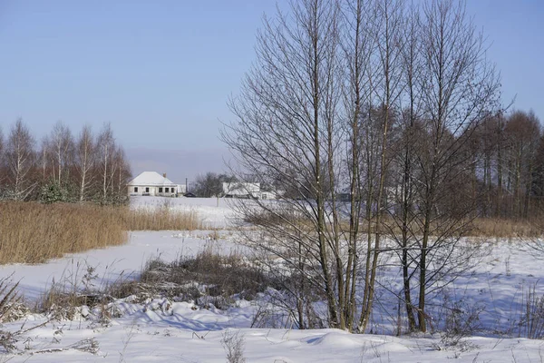 Зимний пейзаж с заснеженной рекой и озером. Рождество и Новый год — стоковое фото