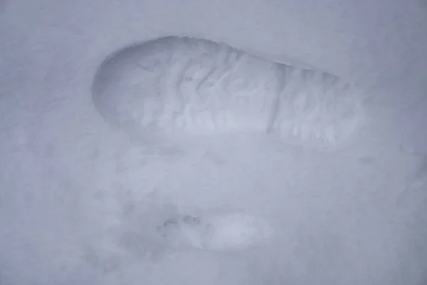 Dog and man tracks in the snow on nature. Boot track in the snow. Stock background