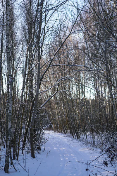 Όμορφο χειμερινό τοπίο στο δάσος. Δρόμος έξω από την πόλη και χιονόπτωση. Snowdrifts στο πάρκο και ακαθάριστα δρόμο. Χριστούγεννα και Πρωτοχρονιά φόντο — Φωτογραφία Αρχείου