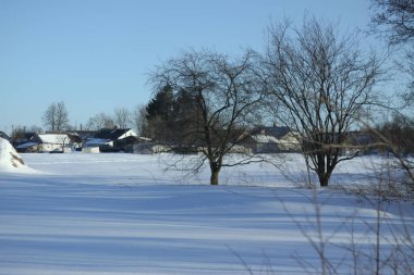 Ağaçların ve ormanın arka planında güzel bir kış manzarası. Noel ve Yeni Yıl havası. Kar yağışı ve manzara peri masallarındaki gibi.