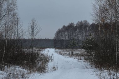 Ormandaki güzel kış manzarası. Şehrin dışındaki yol ve kar yağışı. Parkta ve temizlenmemiş sokakta kar yağışı var. Noel ve Yeni Yıl geçmişi