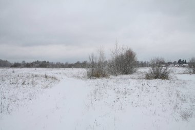 Ağaçların ve ormanın arka planında güzel bir kış manzarası. Noel ve Yeni Yıl havası. Kar yağışı ve manzara peri masallarındaki gibi.