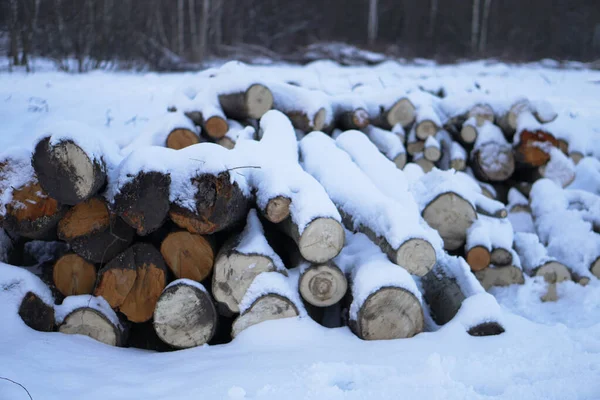 Winter landscape with harvesting firewood in the forest. Forest sawmill and logs covered with snow. Stock photo for design — ストック写真