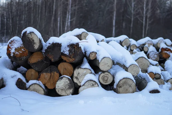 Зимний пейзаж с дровами в лесу. Лесопилка и бревна, покрытые снегом. Фондовое фото для дизайна — стоковое фото