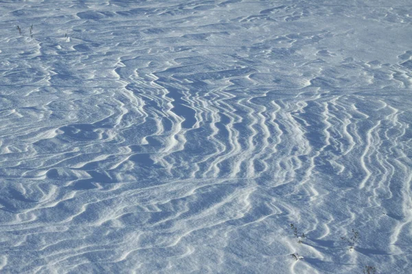 Neve branca e a terra protegida por ela. Campo e nevasca. Dunas de inverno e montanhas de flocos de neve. Fundo das existências . — Fotografia de Stock