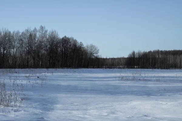 Wunderschöne Winterlandschaft vor einem Hintergrund von Bäumen und Wald. Weihnachts- und Neujahrsstimmung. Schneefall und die Aussicht wie im Märchen — Stockfoto