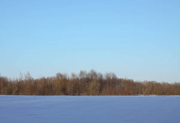 木々や森を背景にした美しい冬の風景。クリスマスと新年の気分。おとぎ話のように雪と景色 — ストック写真