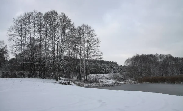 Όμορφο χειμερινό τοπίο με χιονισμένο ποτάμι και λίμνη. Θέμα Χριστουγέννων και Πρωτοχρονιάς — Φωτογραφία Αρχείου