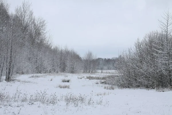 Beau paysage hivernal sur fond d'arbres et de forêt. Ambiance Noël et Nouvel An. La neige et la vue comme dans un conte de fées — Photo