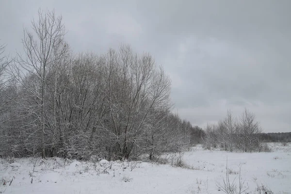 Wunderschöne Winterlandschaft vor einem Hintergrund von Bäumen und Wald. Weihnachts- und Neujahrsstimmung. Schneefall und die Aussicht wie im Märchen — Stockfoto