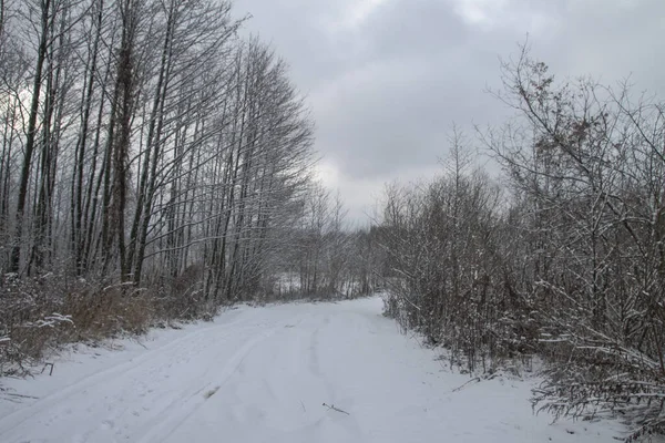 Wunderschöne Winterlandschaft im Wald. Straße außerhalb der Stadt und Schneefall. Schneeverwehungen im Park und nicht gereinigte Straßen. Weihnachten und Neujahr Hintergrund — Stockfoto