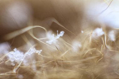 Tasarım için güzel soyut bir arkaplan. Satır ve bulanık kompozisyon.