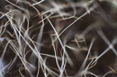 Tasarım için güzel soyut bir arkaplan. Satır ve bulanık kompozisyon.