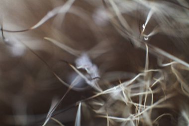 Tasarım için güzel soyut bir arkaplan. Satır ve bulanık kompozisyon.