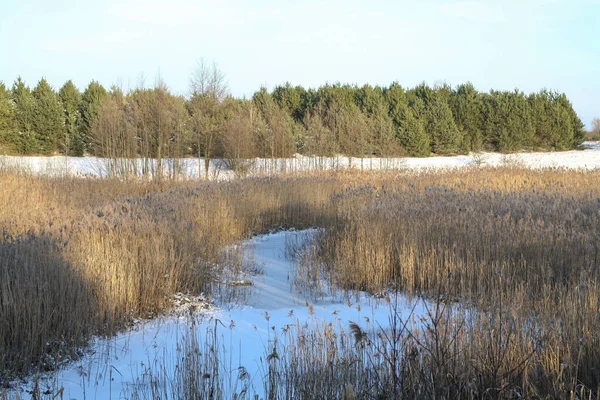 Prachtig winterlandschap met een besneeuwde rivier en meer. Kerst en Nieuwjaar thema — Stockfoto