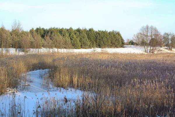 Prachtig winterlandschap met een besneeuwde rivier en meer. Kerst en Nieuwjaar thema — Stockfoto