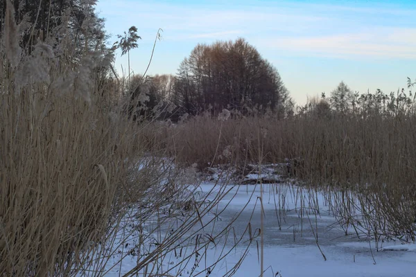 Prachtig winterlandschap met een besneeuwde rivier en meer. Kerst en Nieuwjaar thema — Stockfoto