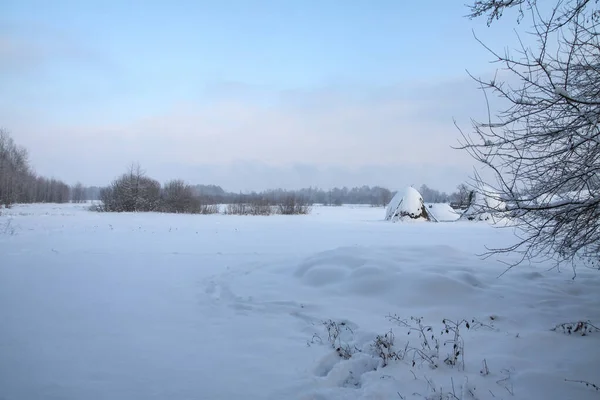 Wunderschöne Winterlandschaft vor einem Hintergrund von Bäumen und Wald. Weihnachts- und Neujahrsstimmung. Schneefall und die Aussicht wie im Märchen — Stockfoto