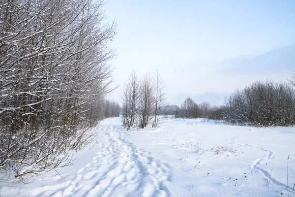 Beau paysage hivernal dans la forêt. Route en dehors de la ville et chutes de neige. Snowdrifts dans le parc et rue non nettoyée. Noël et Nouvel An fond — Photo