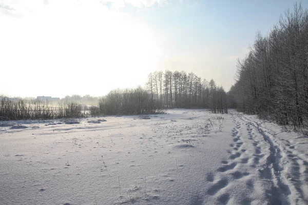 Beau paysage hivernal dans la forêt. Route en dehors de la ville et chutes de neige. Snowdrifts dans le parc et rue non nettoyée. Noël et Nouvel An fond — Photo