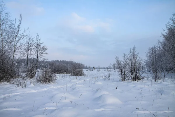 Hermoso paisaje de invierno sobre un fondo de árboles y bosques. Humor de Navidad y Año Nuevo. Las nevadas y la vista como en un cuento de hadas — Foto de Stock