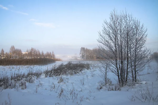 Beau paysage hivernal avec une rivière enneigée et un lac. Thème Noël et Nouvel An — Photo