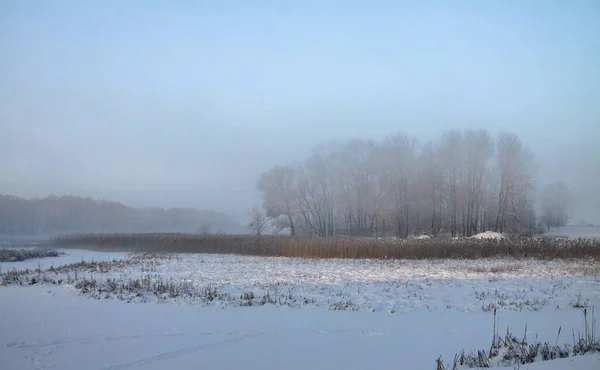 Prachtig winterlandschap met besneeuwde bomen in het bos. De stralen van de zon bij zonsondergang of in de ochtend. Kerst en Nieuwjaar thema — Stockfoto