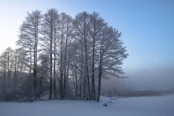 Krásná zimní krajina se zasněženými stromy v lese. Paprsky slunce při západu slunce nebo ráno. Vánoční a novoroční téma — Stock fotografie
