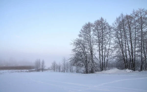 Beau paysage hivernal avec des arbres enneigés dans la forêt. Les rayons du soleil au coucher du soleil ou le matin. Thème Noël et Nouvel An — Photo