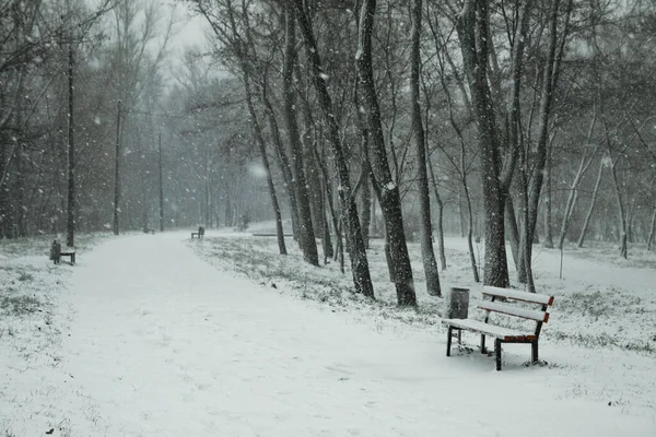 Beautiful New Year\'s weather in a snowy park. Colaps on the streets. Christmas theme