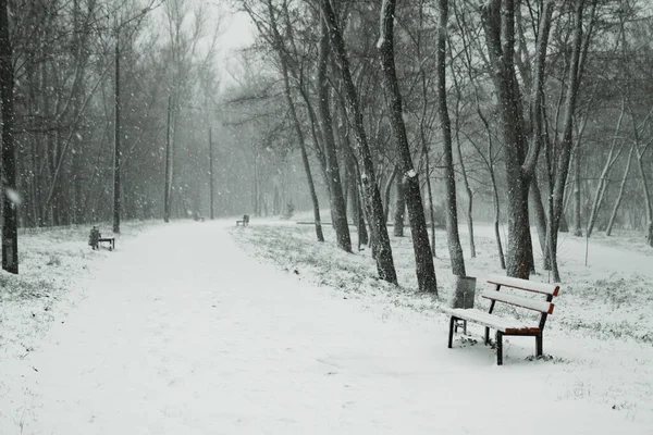 Beautiful New Year\'s weather in a snowy park. Colaps on the streets. Christmas theme