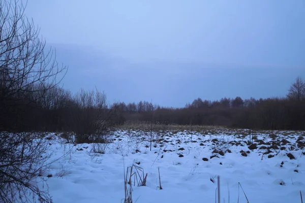 Bela paisagem de inverno em um fundo de árvores e floresta. Natal e clima de Ano Novo. A queda de neve e a vista como em um conto de fadas — Fotografia de Stock