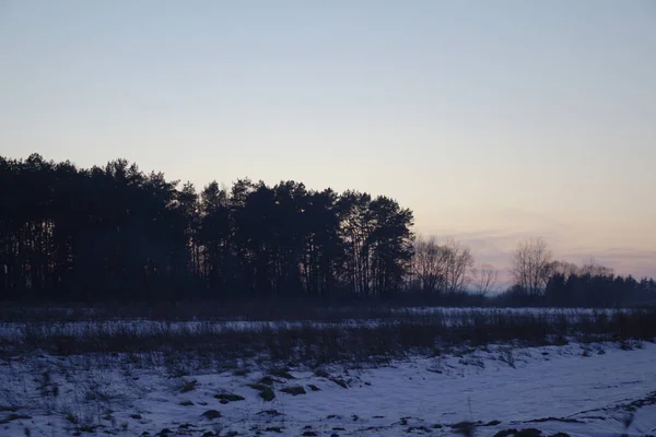 木々や森を背景にした美しい冬の風景。クリスマスと新年の気分。おとぎ話のように雪と景色 — ストック写真