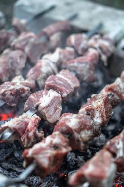 Ateşte kavrulmuş et. Kamp kebabı pişiriyorum. Barbekü