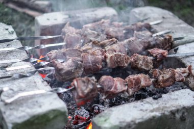 Ateşte kavrulmuş et. Kamp kebabı pişiriyorum. Barbekü