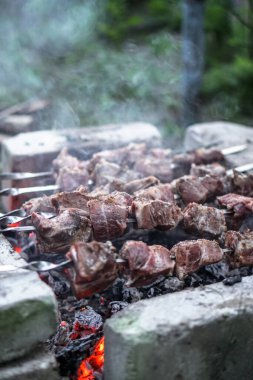 Ateşte kavrulmuş et. Kamp kebabı pişiriyorum. Barbekü