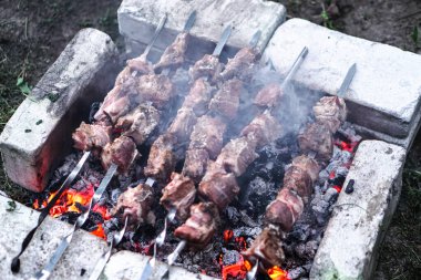 Ateşte kavrulmuş et. Kamp kebabı pişiriyorum. Barbekü