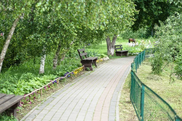 Joli Sentier Dans Parc Avec Une Végétation Abondante Banc Dans — Photo
