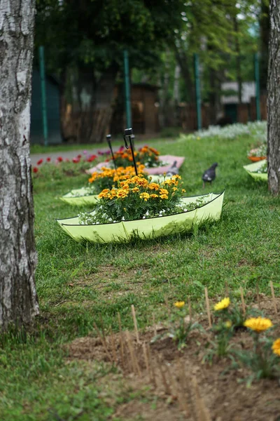 Yazın Renkli Çiçek Çayırı Parktaki Çiçek Tarhında Çiçekler Stok Fotoğraf — Stok fotoğraf