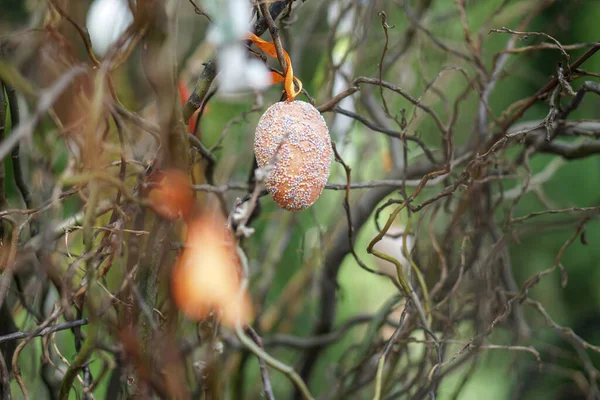 Ovo Páscoa Uma Árvore Primavera Fundo Estoque Para Design — Fotografia de Stock