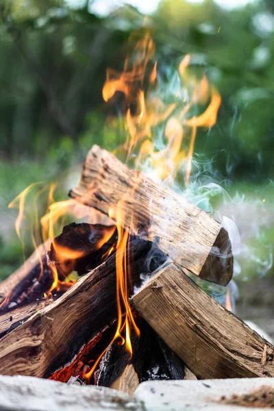 キャンプ旅行で一日中美しい小さなたき火 デザインの背景 — ストック写真
