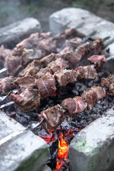 Ateşte kavrulmuş et. Kamp kebabı pişiriyorum. Barbekü