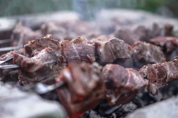 Carne Assada Fogo Camping Cozinhar Kebab Churrasco — Fotografia de Stock