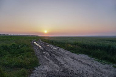 Şehrin dışındaki bir tarlada muhteşem toprak yol. Baharda bir çayırda bakımsız bir patika. Tasarım için stok arkaplanı