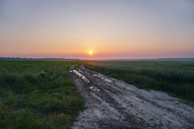 Şehrin dışındaki bir tarlada muhteşem toprak yol. Baharda bir çayırda bakımsız bir patika. Tasarım için stok arkaplanı