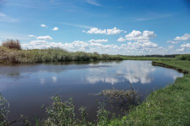 Akan doğada güzel bir kaynak nehri. Sabahları ve akşamları renkli manzaralar. Dünyanın ıssız yerlerine seyahat et. Tasarım için stok fotoğrafı