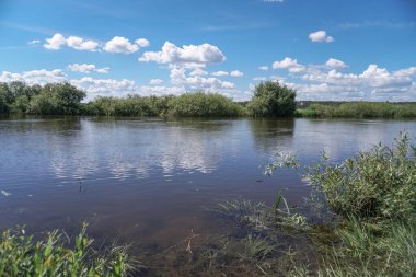 Akan doğada güzel bir kaynak nehri. Sabahları ve akşamları renkli manzaralar. Dünyanın ıssız yerlerine seyahat et. Tasarım için stok fotoğrafı